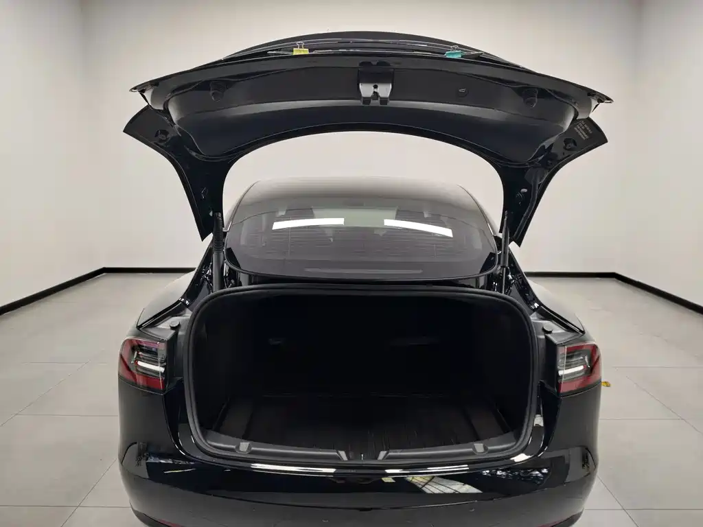 Tesla Model 3 — миниатюра 11