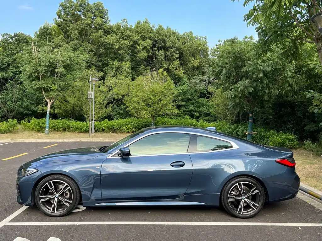 BMW 4 Series — миниатюра 4