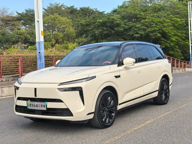 WEI PAI WEI BRAND BLUE MOUNTAIN 2024