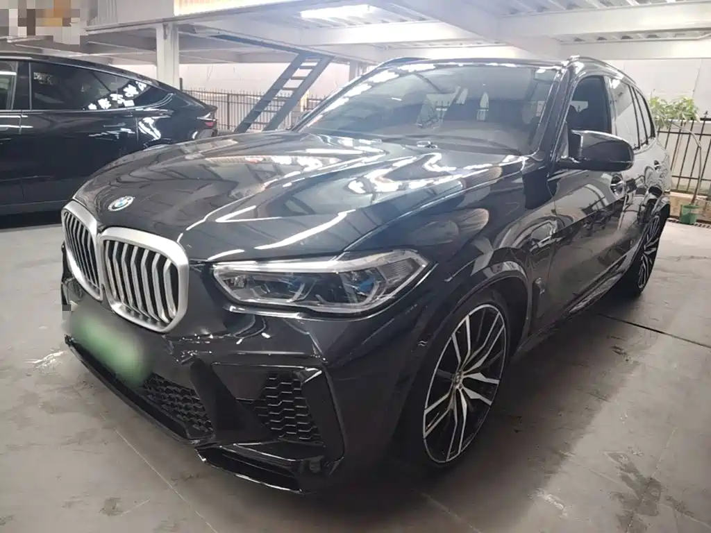 BMW X5 New Energy (Import)