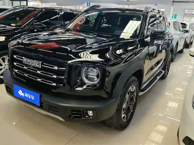 HAVAL BIG DOG