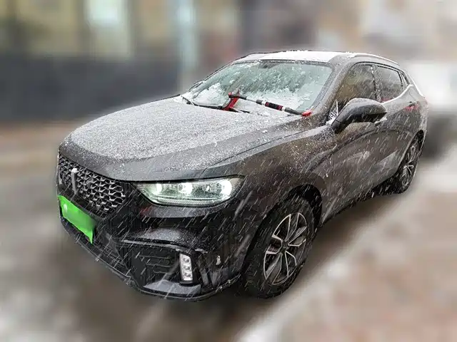 2020 Wey VV5