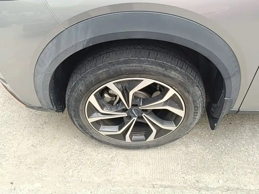 Haval Shenshou — миниатюра 25