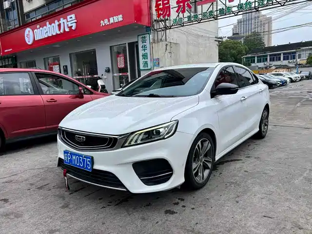 2020 Geely Binrui