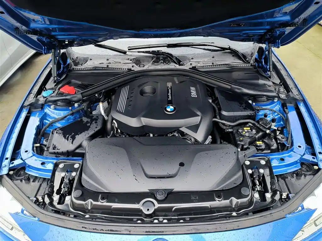 BMW 3 Series 3 2019 320Li M Sport