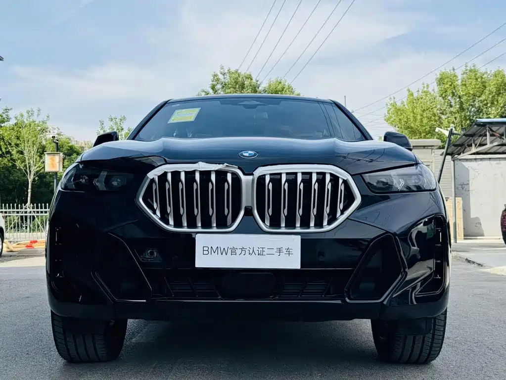 BMW X6 2023 xDrive30i M Sport