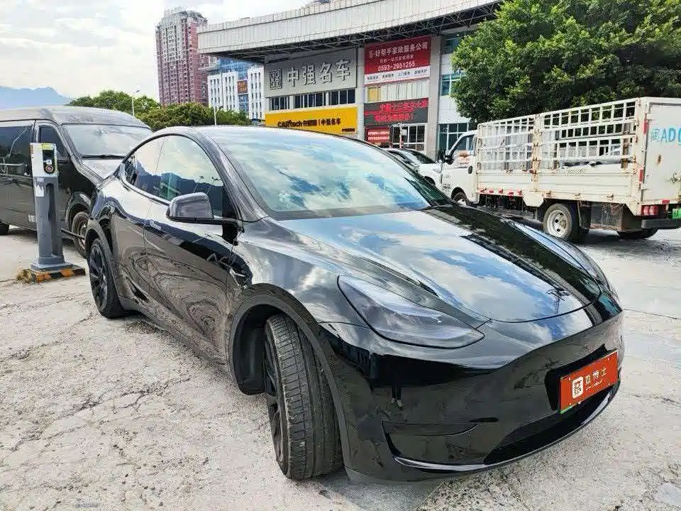 Tesla Model Y — миниатюра 4