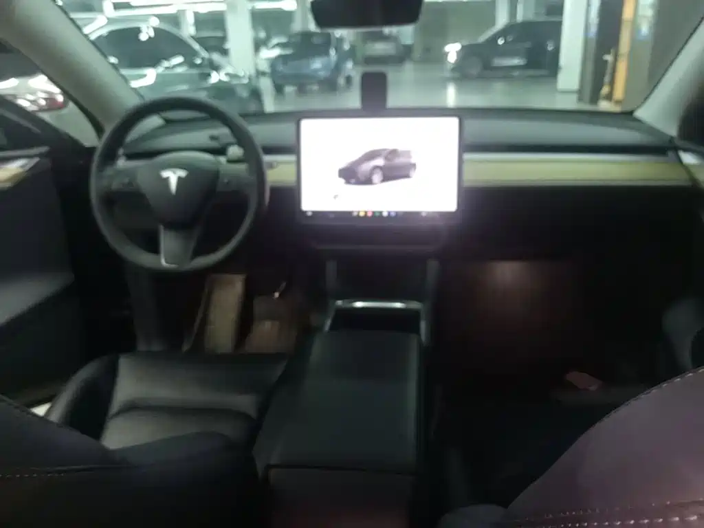 Tesla Model Y — миниатюра 10