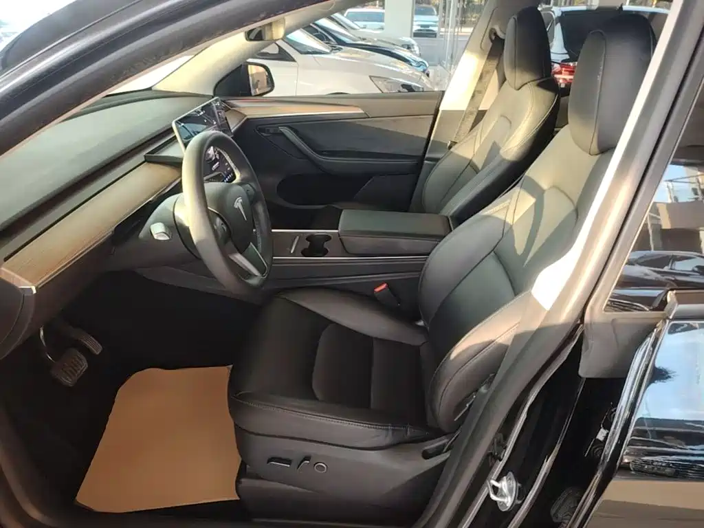 Tesla Model Y — миниатюра 15