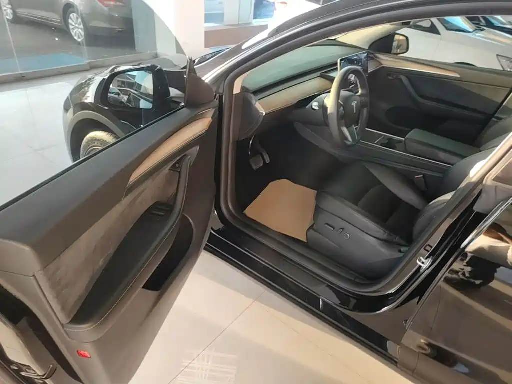 Tesla Model Y — миниатюра 16