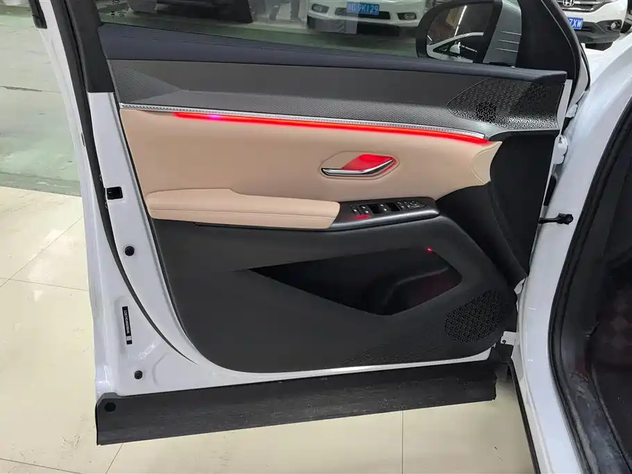 BYD SONGJIANG NEW ENERGY