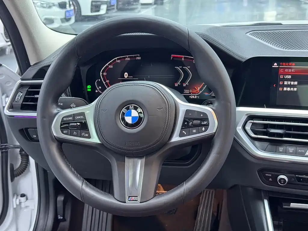 BMW 3 Series 3 2022 325Li M Sport