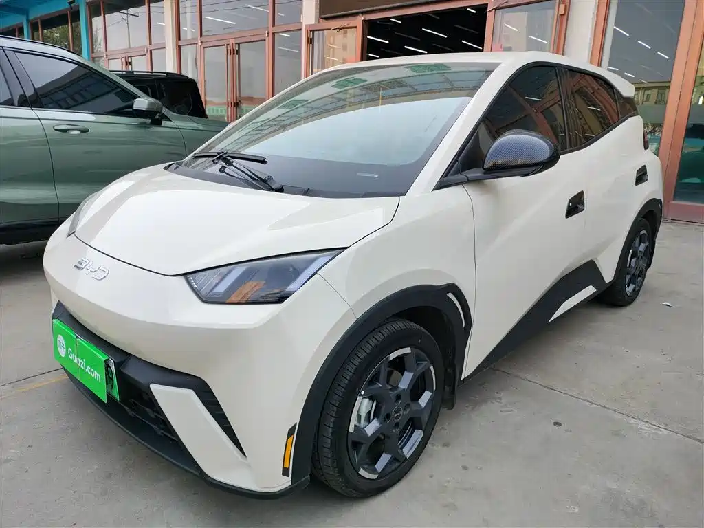 Byd Seagull 2025