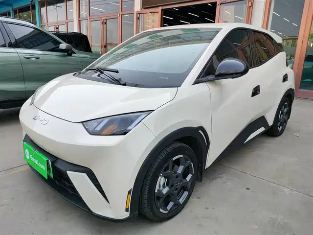 2025 BYD Seagull