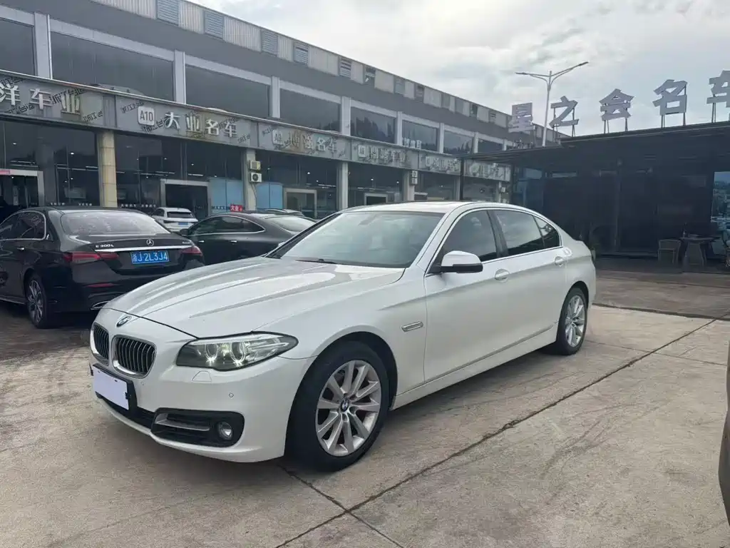 BMW 5 Series 5 2014 528Li Lead