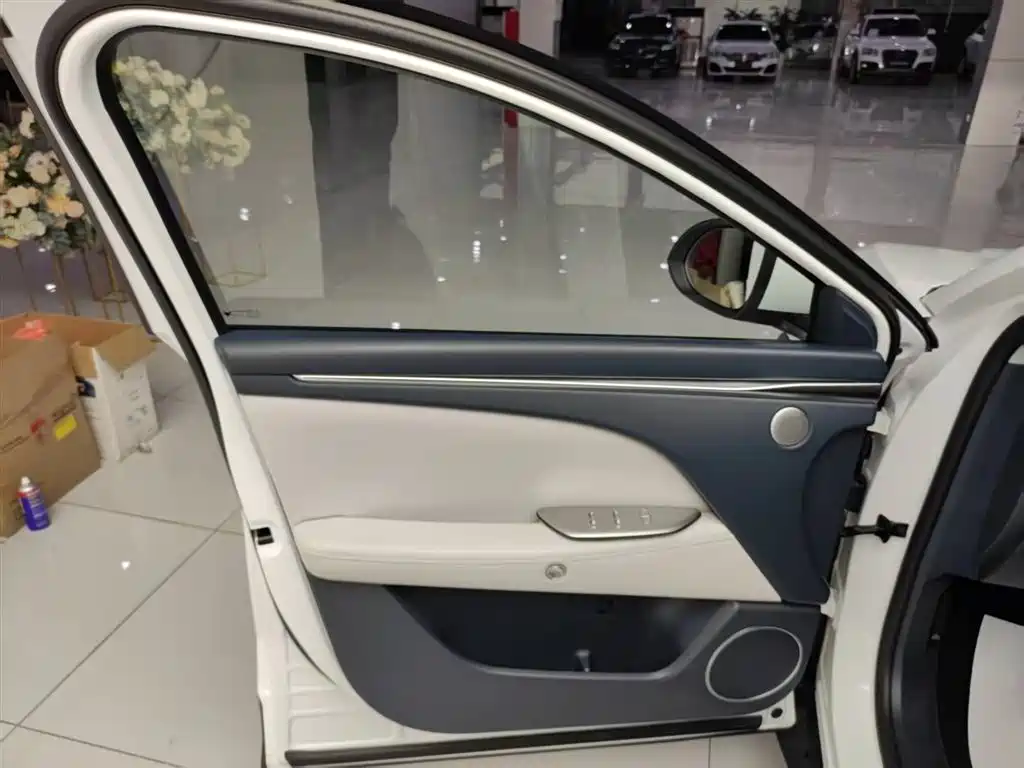 ARCFOX EXTREME FOX POLAR FOX ALPHA T5