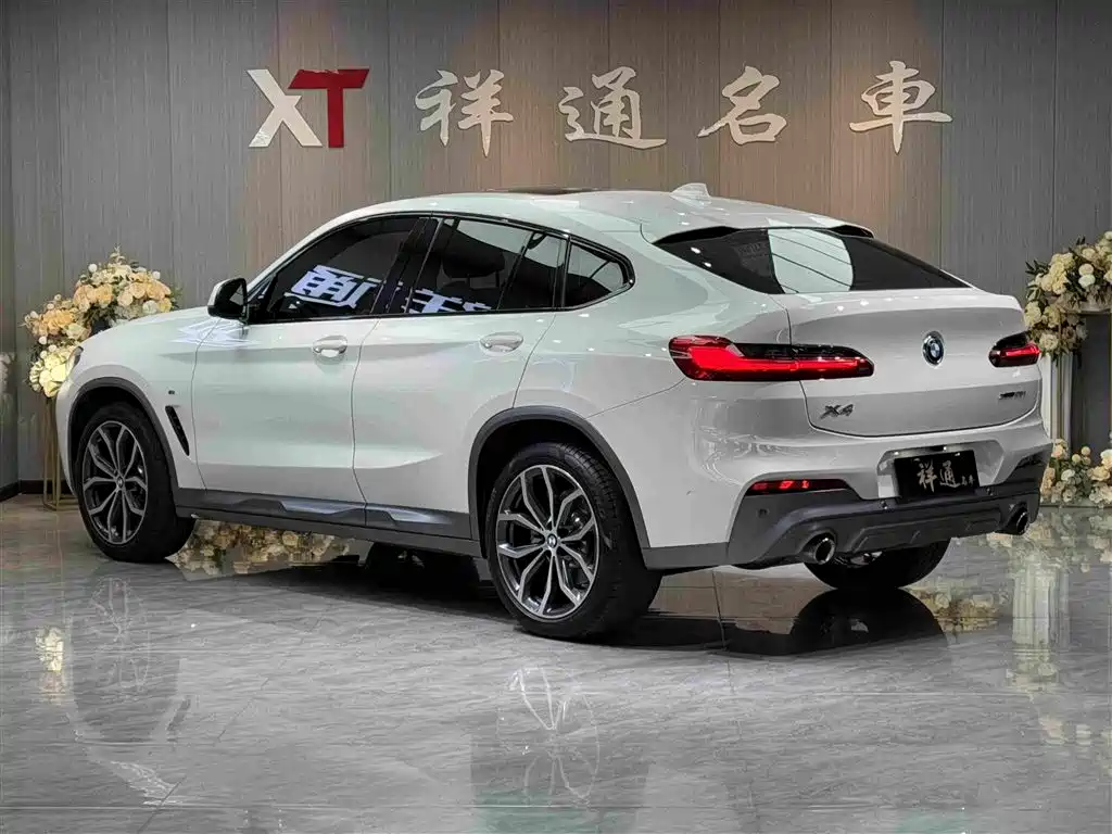 BMW X4 2019 xDrive25i M