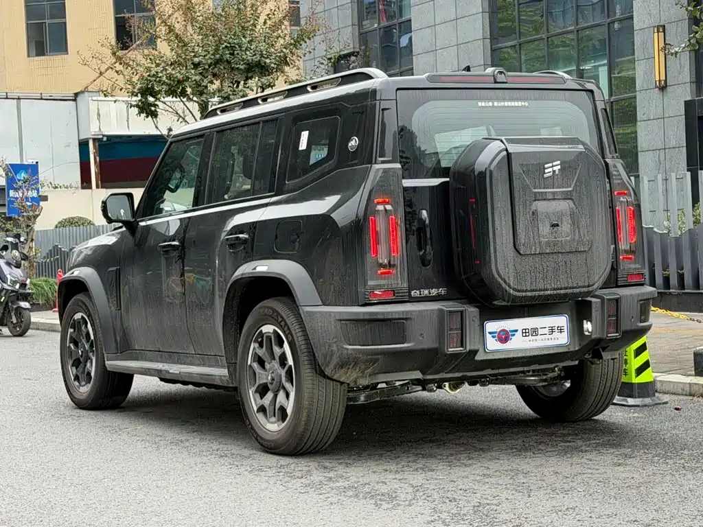 Jetour Traveller C-DM — миниатюра 4