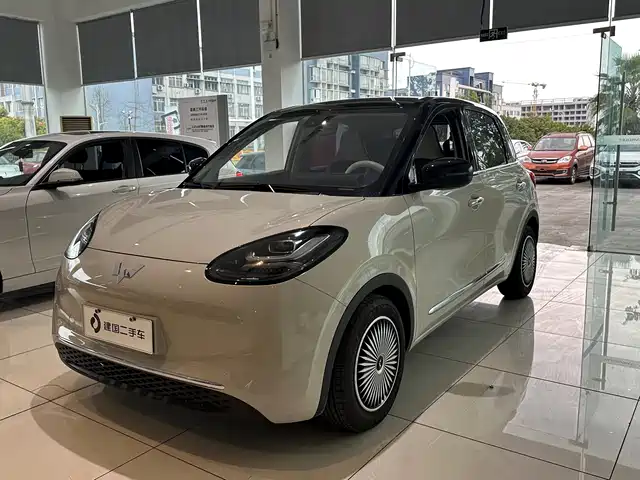 WULING WULING BINGGUO 2024