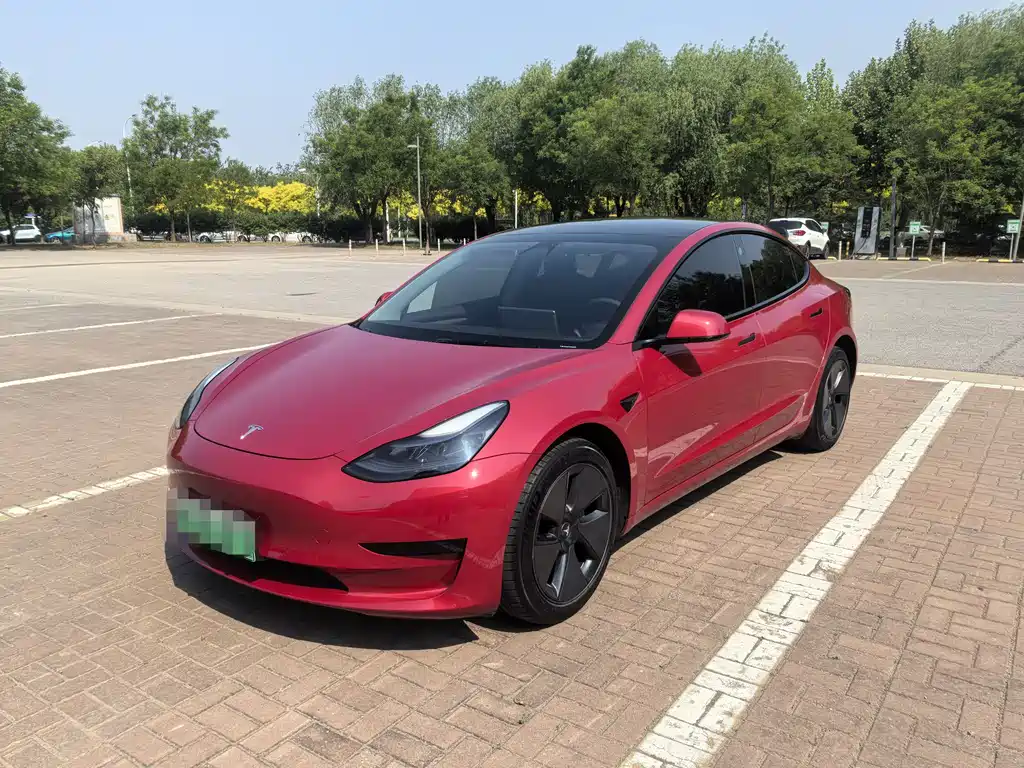 Tesla Model 3 2021