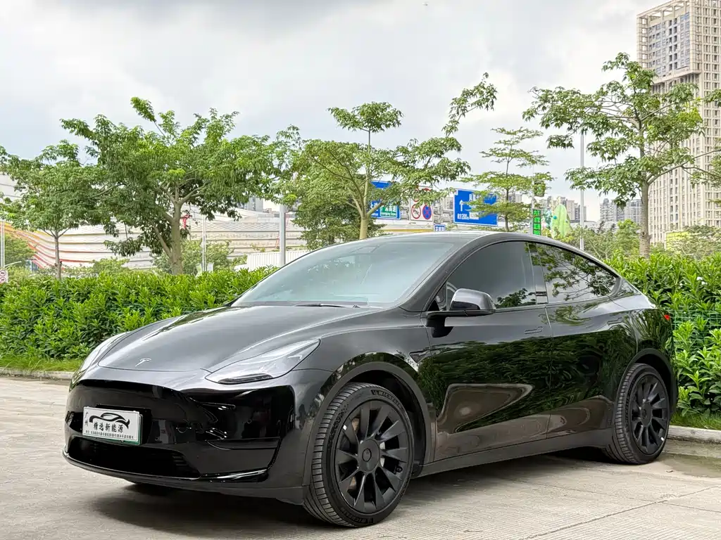 Tesla Model Y — фотографии объявления, Фото 2