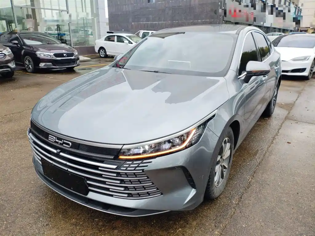 BYD Destroyer 05 2024