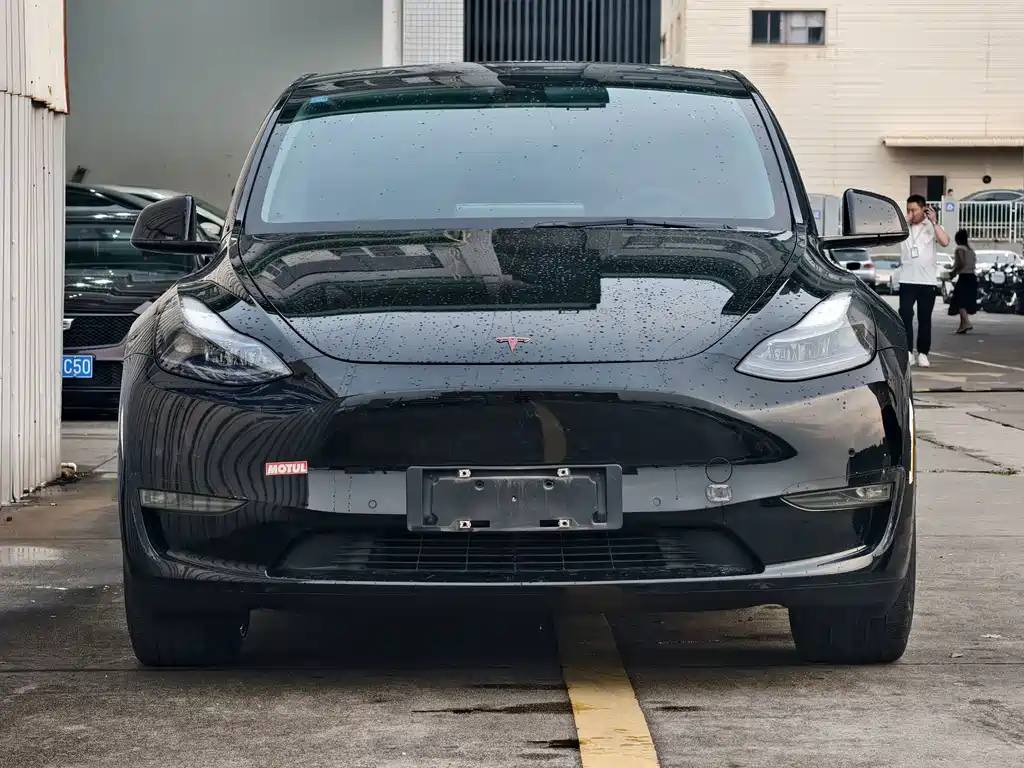 Tesla Model Y — миниатюра 2