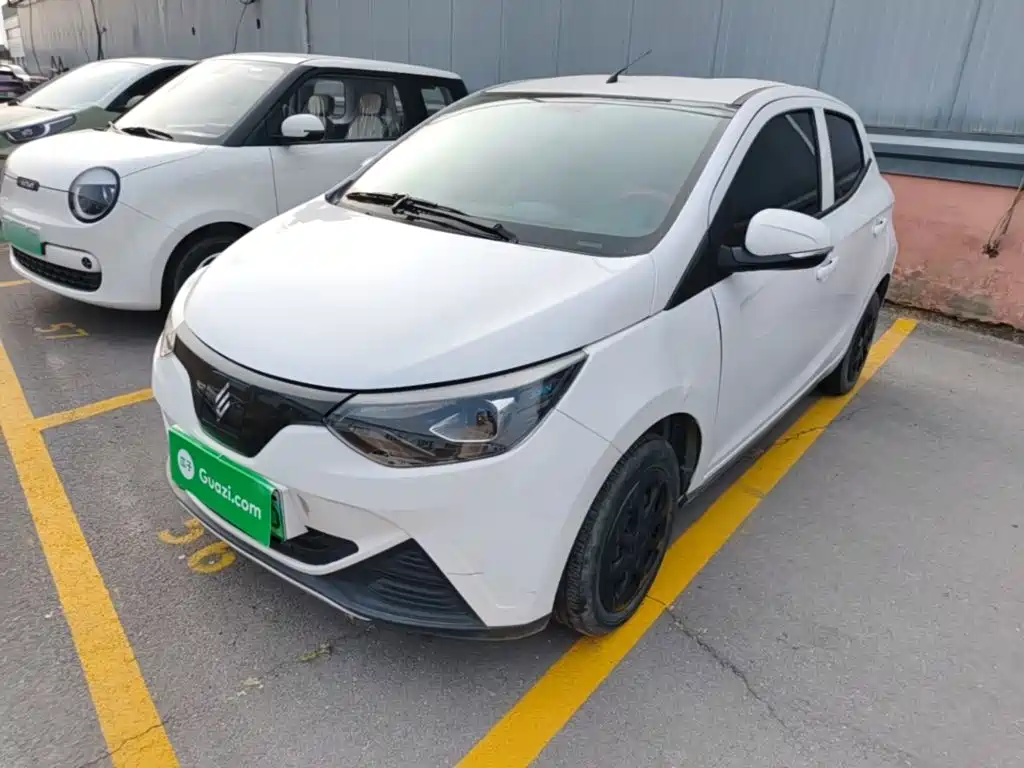 小麒麟 2023款 吉祥版 201km 舒适型