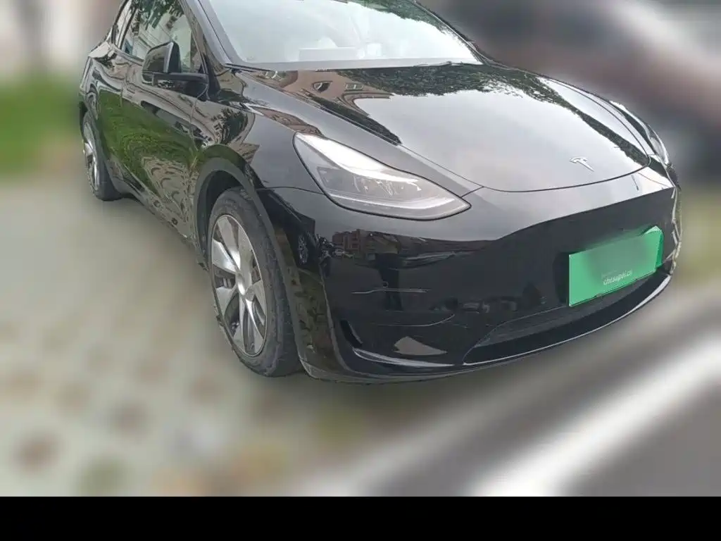 Tesla Model Y — миниатюра 13
