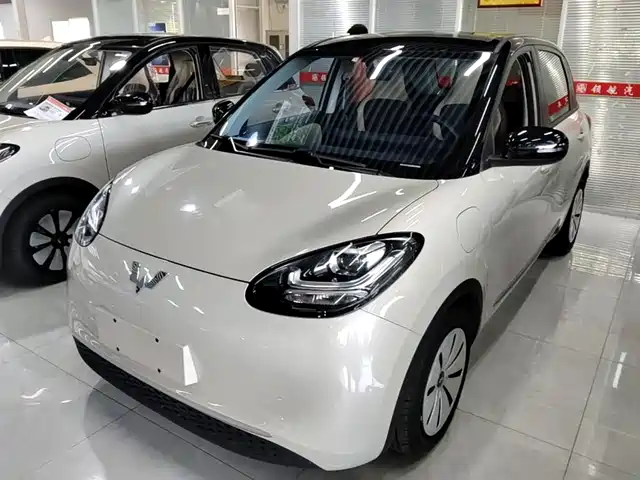 2024 Wuling Motors Binguo