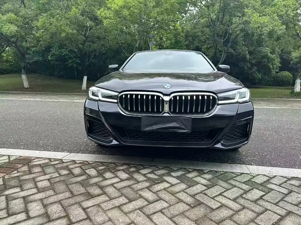 BMW 5 Series 5 2022 530Li Premium M Sport