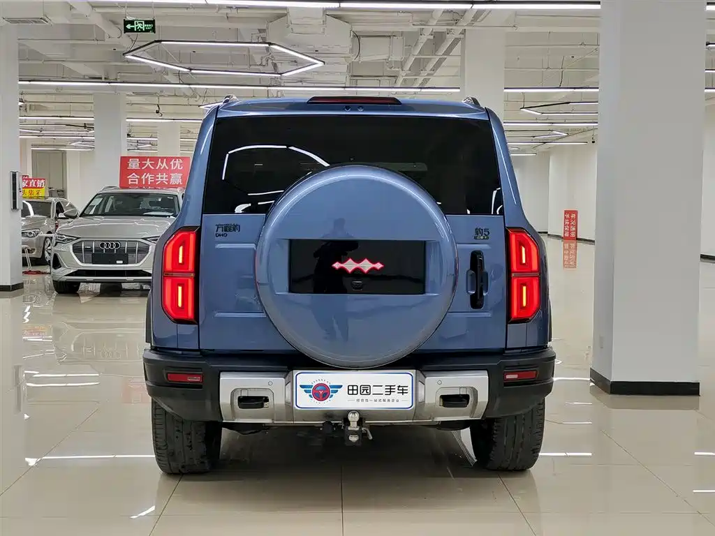 FANG CHENG BAO LEOPARD 5