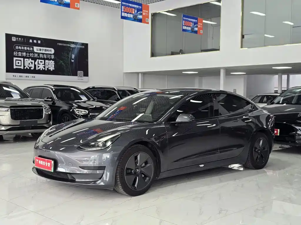 Tesla Model 3 2021 Facelift Standard Range RWD Upgrade Edition 3D1