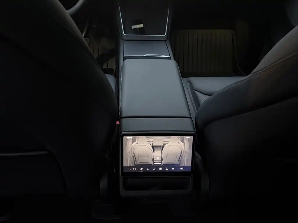 Tesla Model Y — миниатюра 10