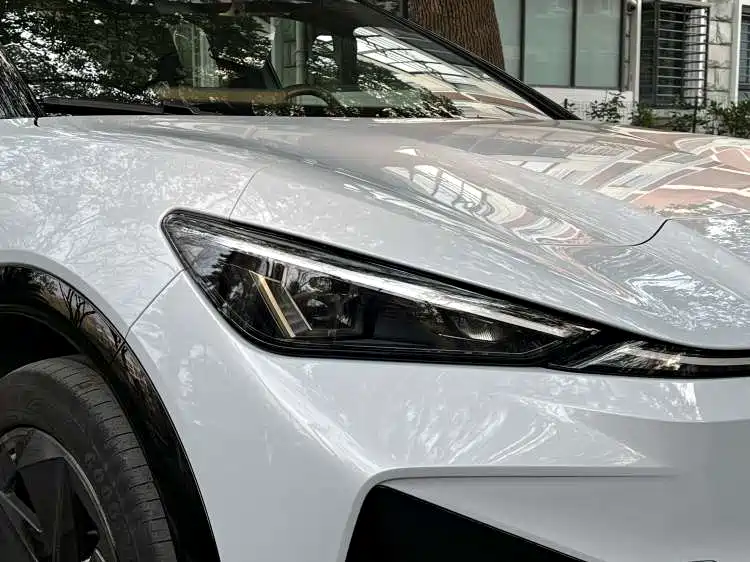 VOLKSWAGEN WITH THE CROWD 06