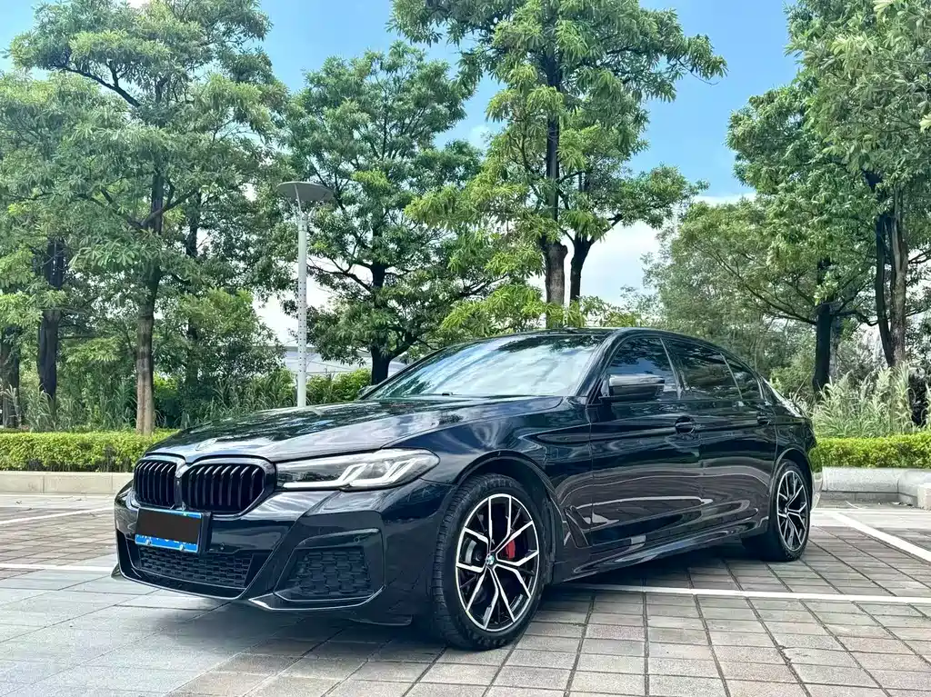 BMW 5 Series 5 2022 530Li Premium M Sport