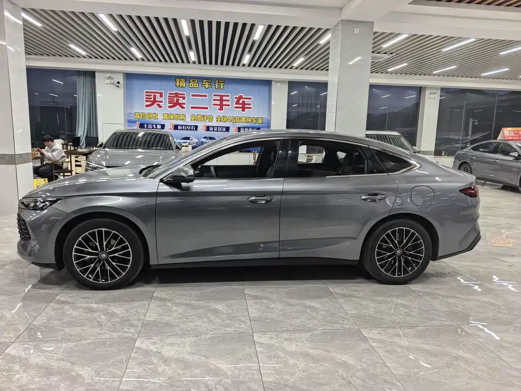 BYD QIN L