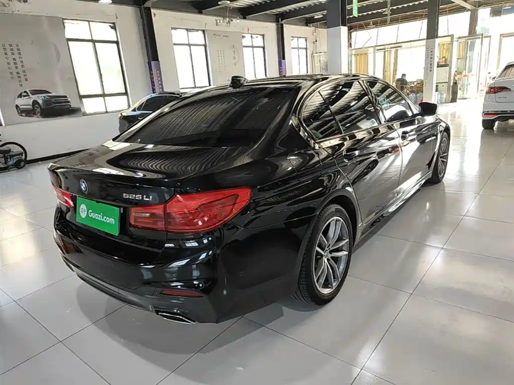 BMW 5 Series 5 2019 525Li M Sport