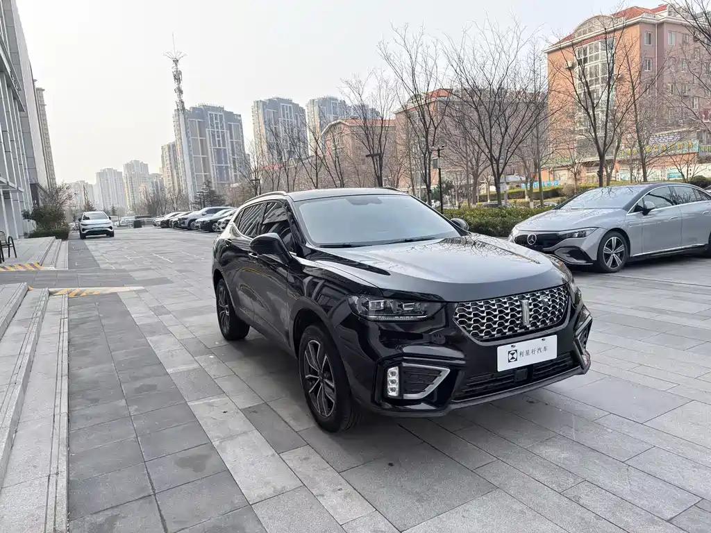 WEI PAI WEI BRAND VV5