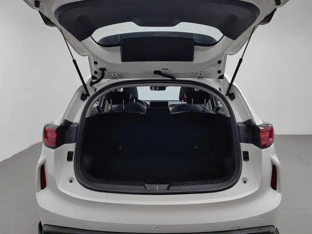 Haval Chitu — миниатюра 16