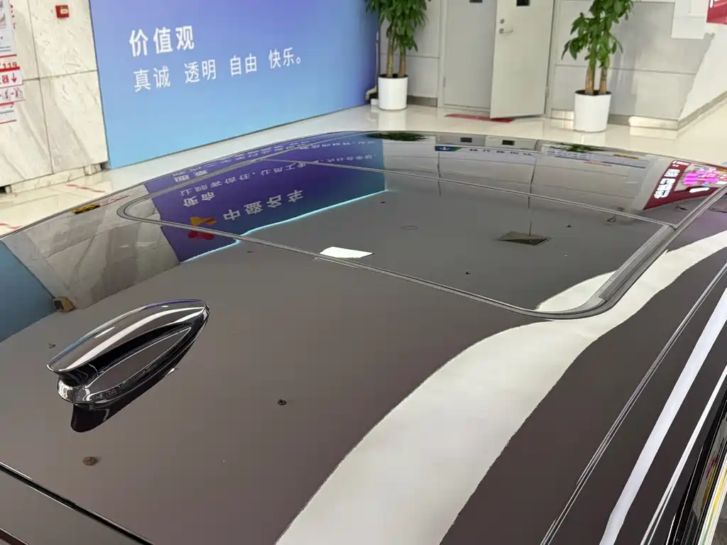 Hongqi H9 2020 2.0T