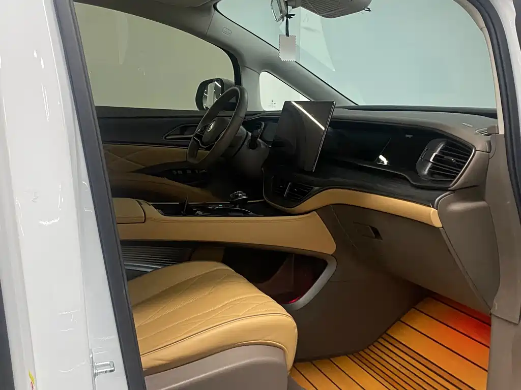 Denza Denza D9 — миниатюра 10
