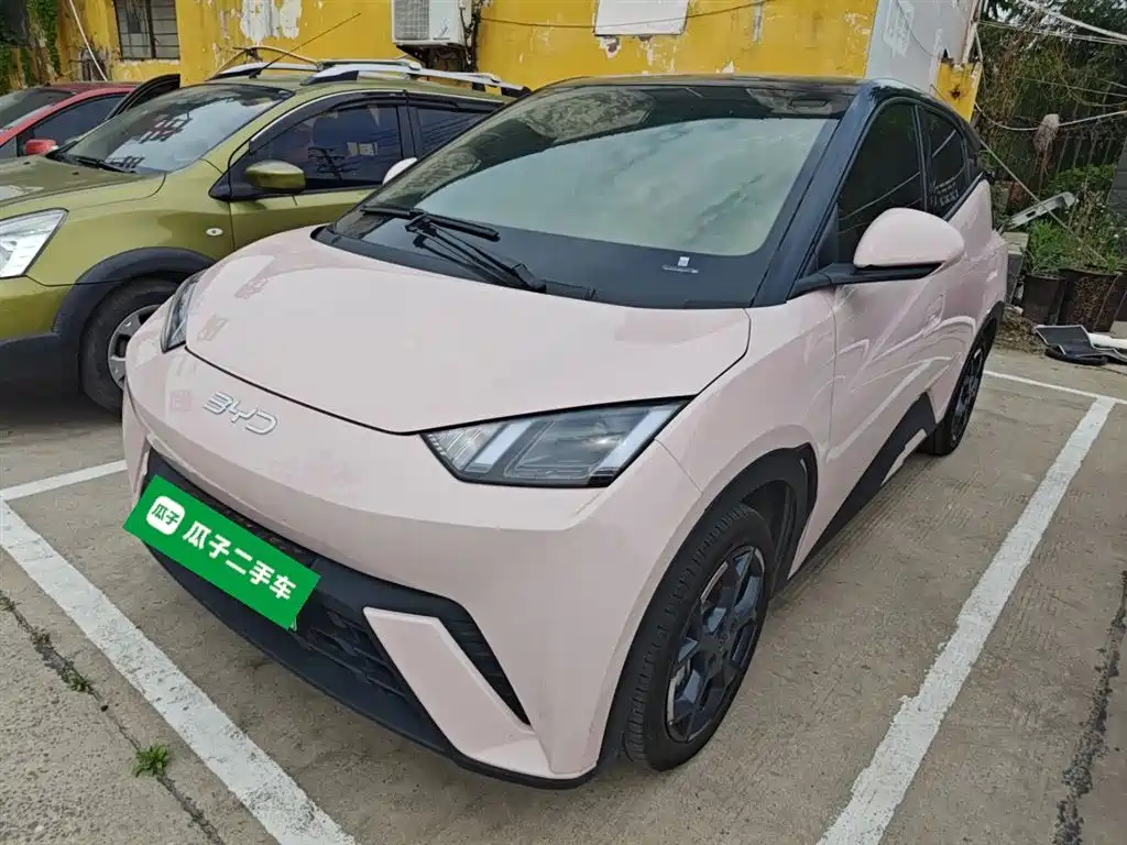 Byd Seagull 2024