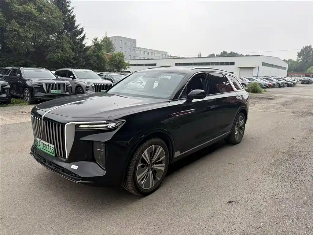 Hongqi E-HS9 2022 690km мест