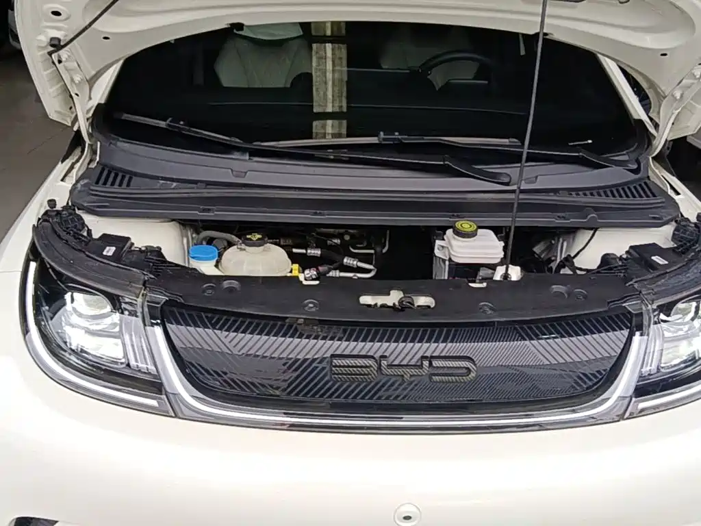 BYD Dolphin — миниатюра 20