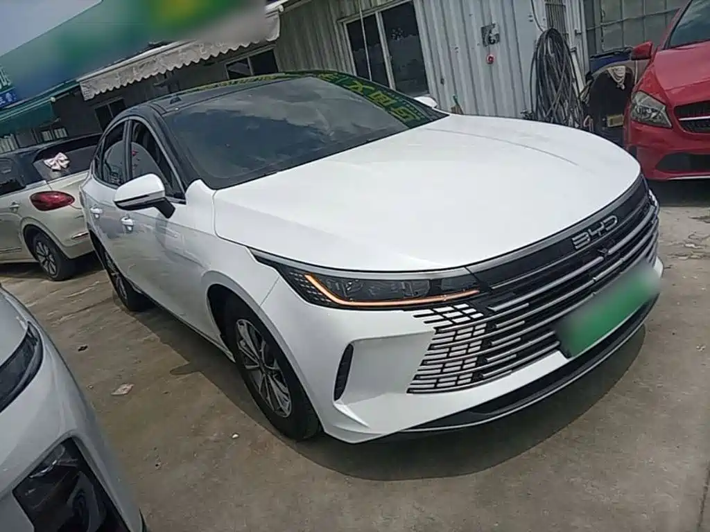 BYD Destroyer 05 2024 DM-i 55KM Luxury