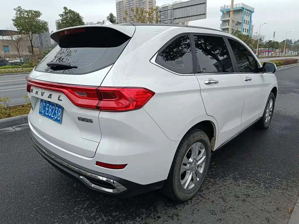 HAVAL M6