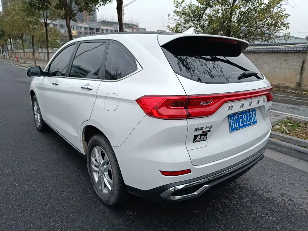 HAVAL M6