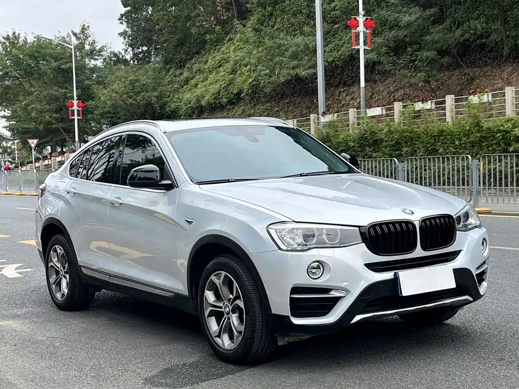 BMW X4 2014 xDrive20i X