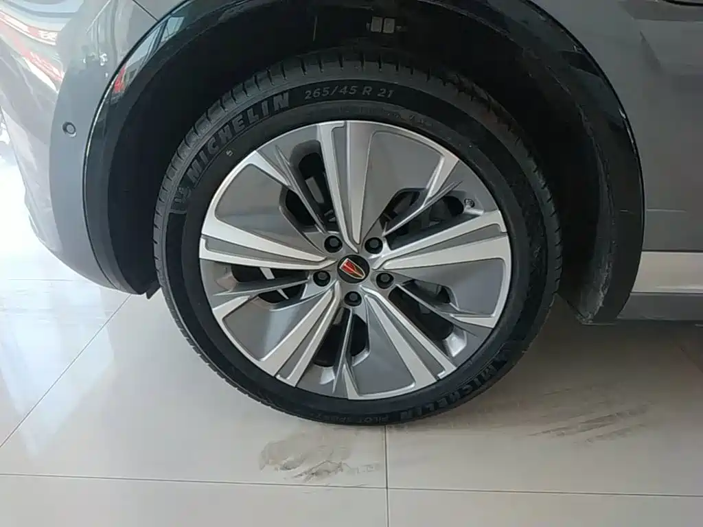 Hongqi Hongqi E-HS9 — миниатюра 23